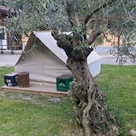 Camping Daino 호텔 피에트라무라타 외부 사진