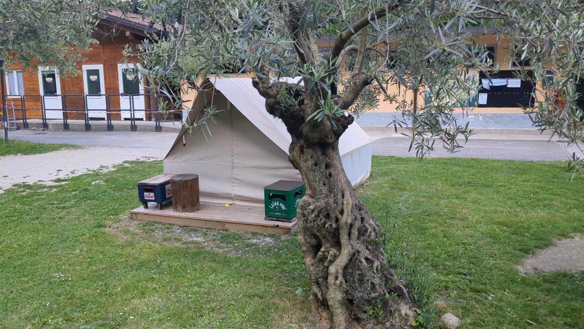 Camping Daino 호텔 피에트라무라타 외부 사진
